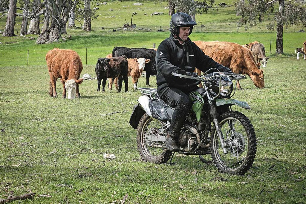 imagem da Kawasaki Stockman em ação