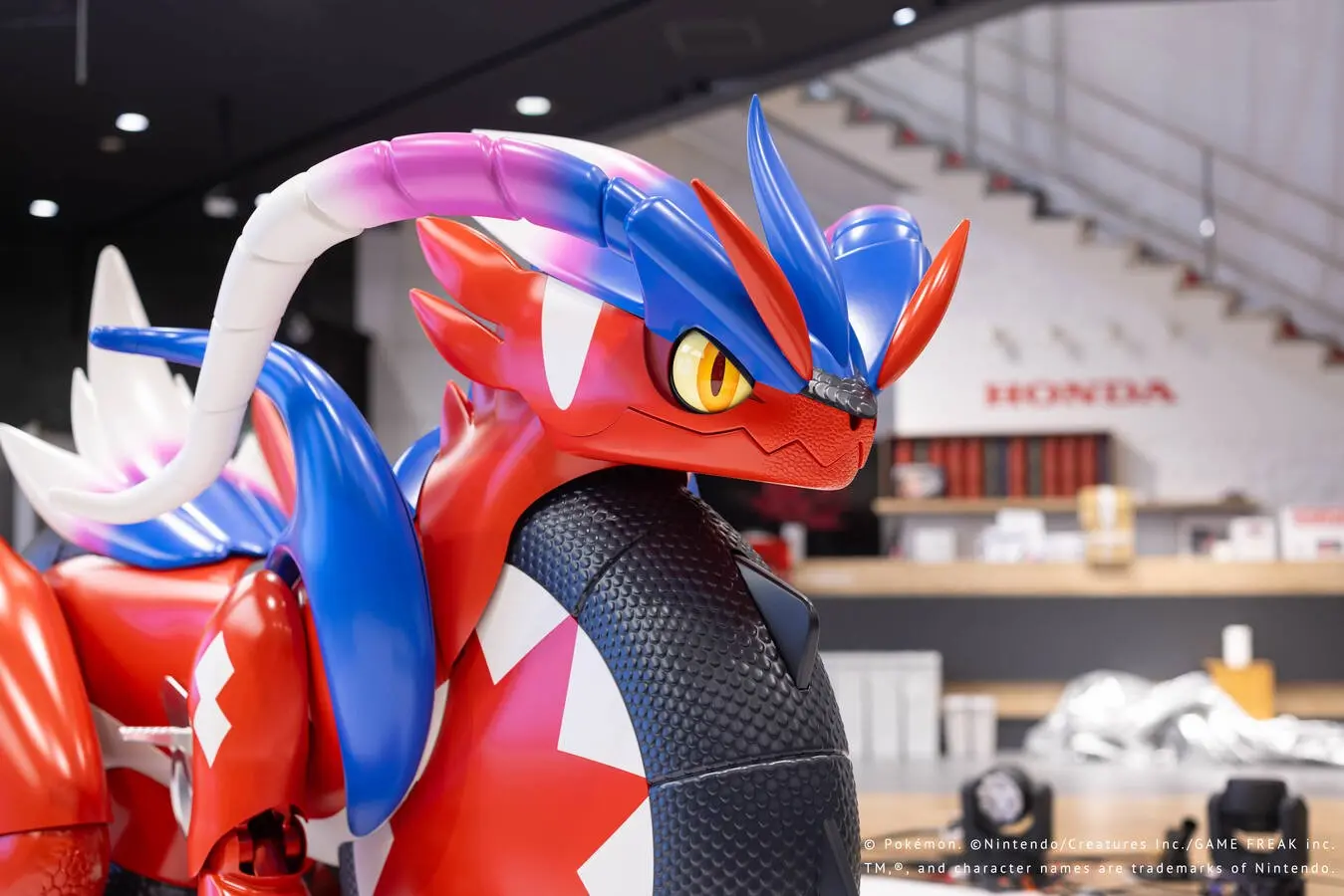 Honda Koraidon Project Begins