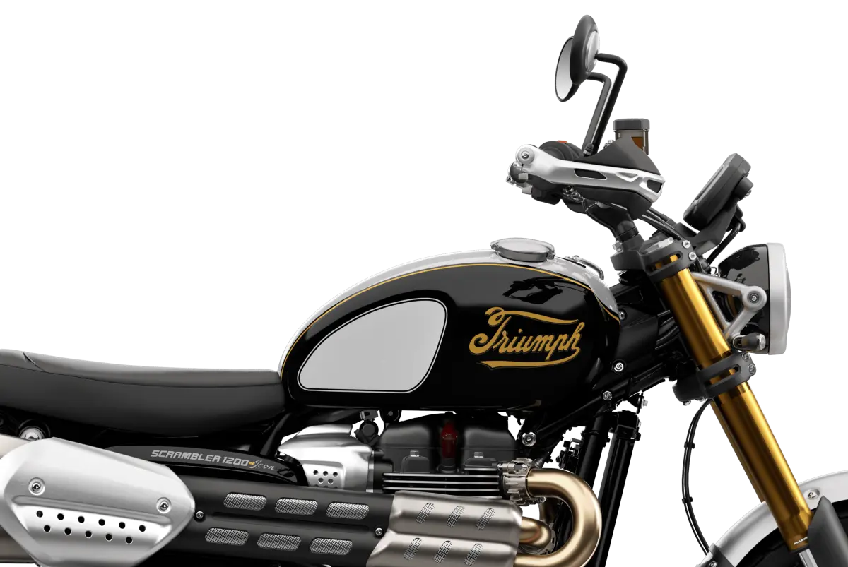 Triumph Icon Edition estreia no Brasil; veja modelos, detalhes e preços