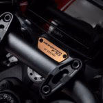 imagem-placa-numerada-ducati-monster-100-motociclismoonline